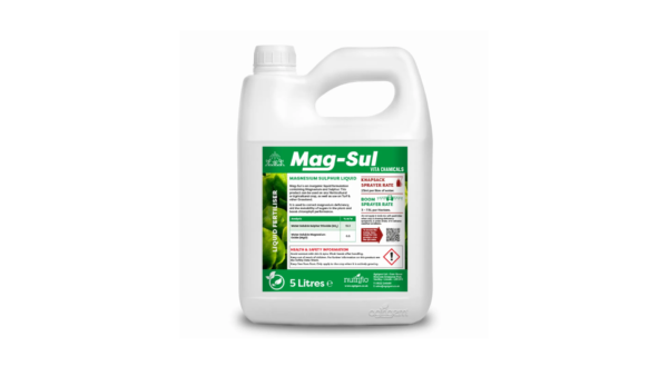 Magnesium Sulfate